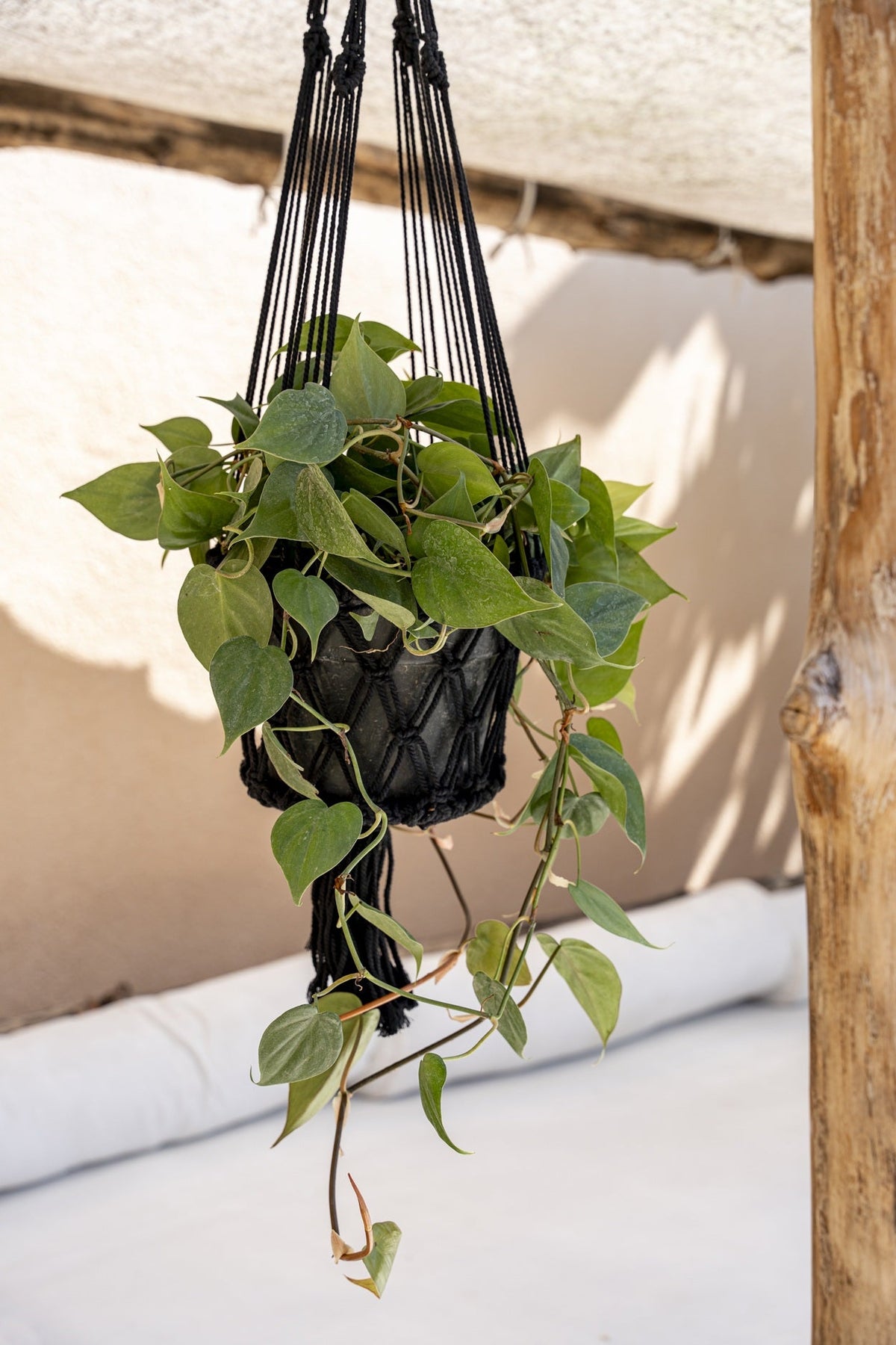 Bazar Bizar Katoenen Plantenhanger Macrame Zwart Ø30 x H110 cm