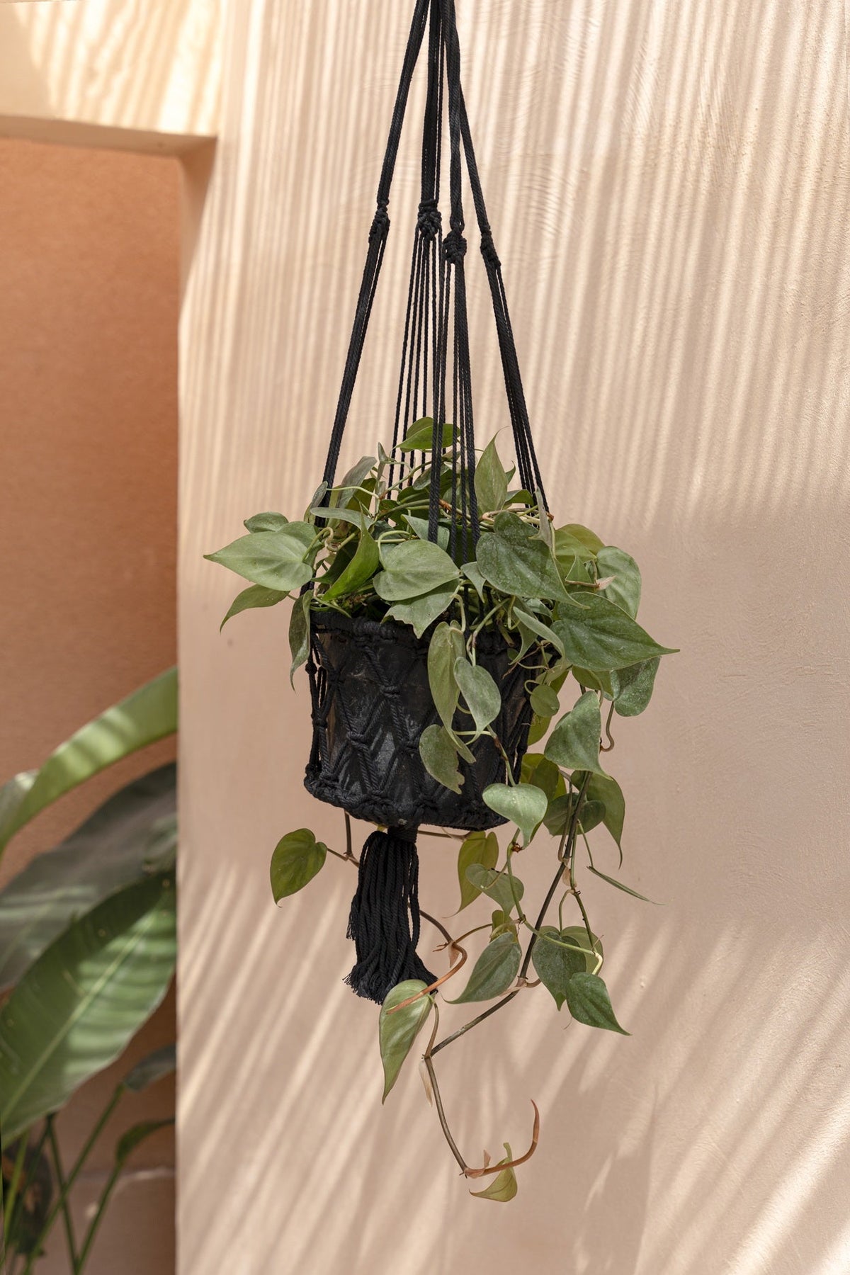 Bazar Bizar Katoenen Plantenhanger Macrame Zwart Ø25 x H100 cm