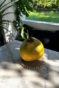 Bazar Bizar Zeegras Onderzetter Shell Pan Naturel Ø23 cm
