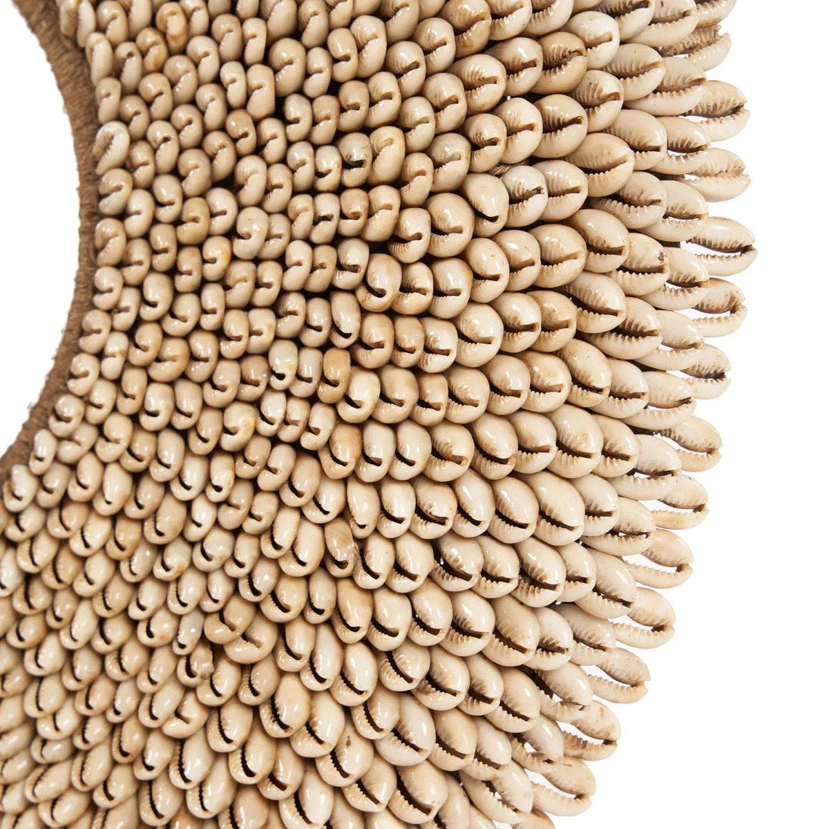 Bazar Bizar Schelp Sculptuur Réunion Shell On Stand Naturel 40 x 10 x 48 cm