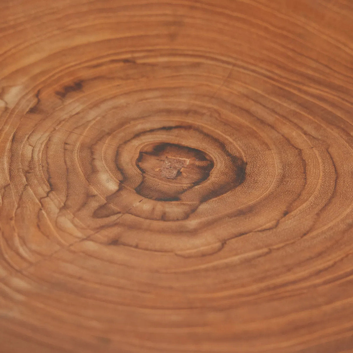 Bazar Bizar Plat de service En Bois de Teck Teak Root Organic Plate Naturel Ø25 x H3 cm