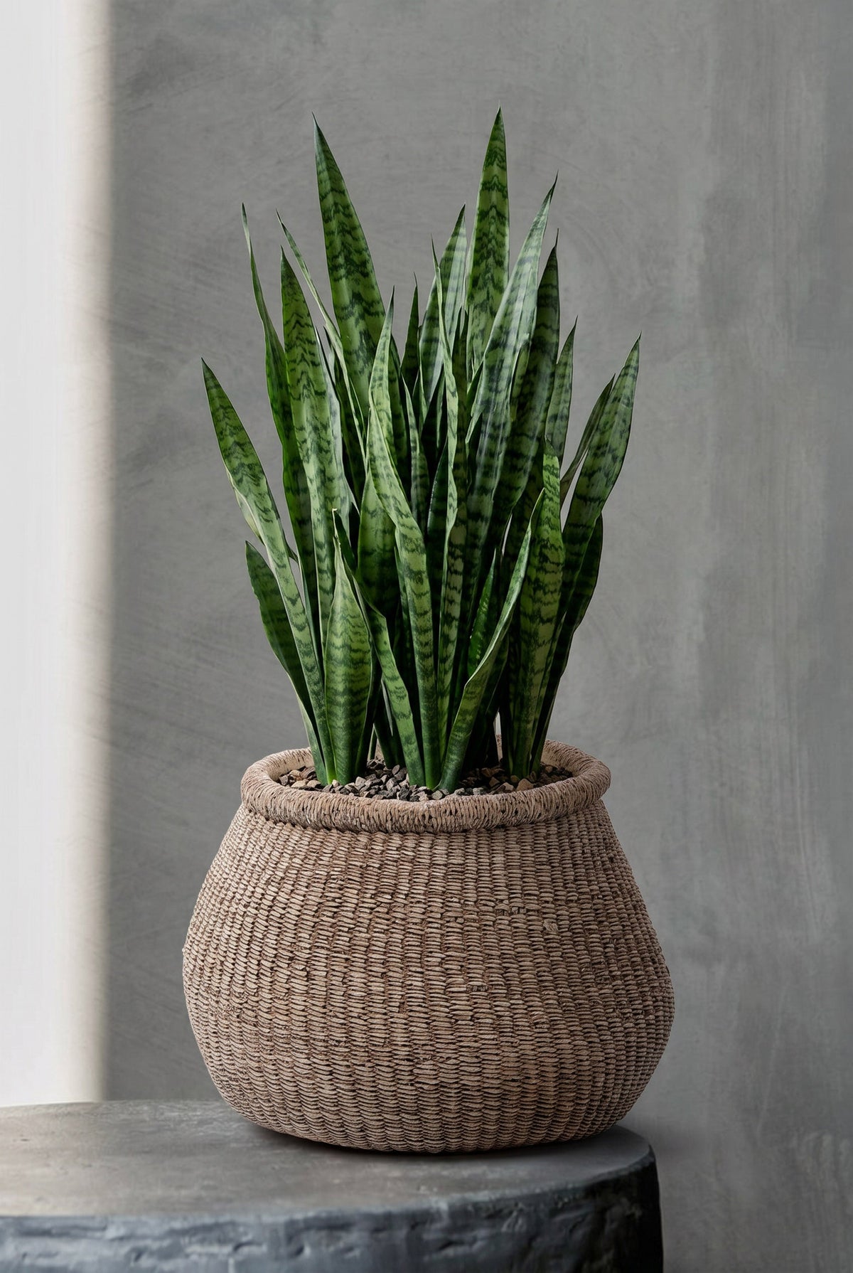 Bazar Bizar Betonnen Plantenpot Faux-Puff Bruin 25 x 23 x 19 cm