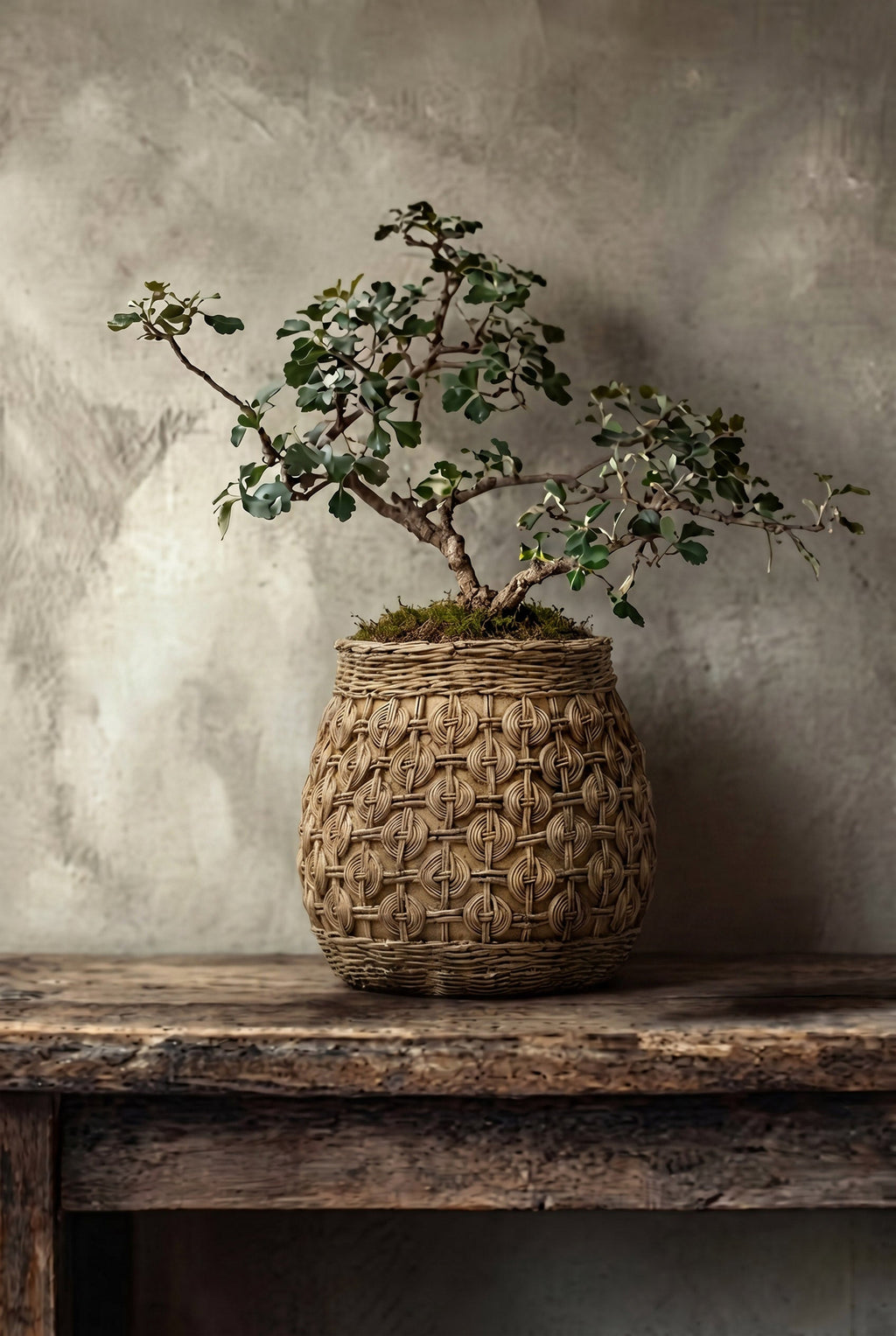 Bazar Bizar Betonnen Plantenpot Knot Naturel Ø28,3 x H25 cm