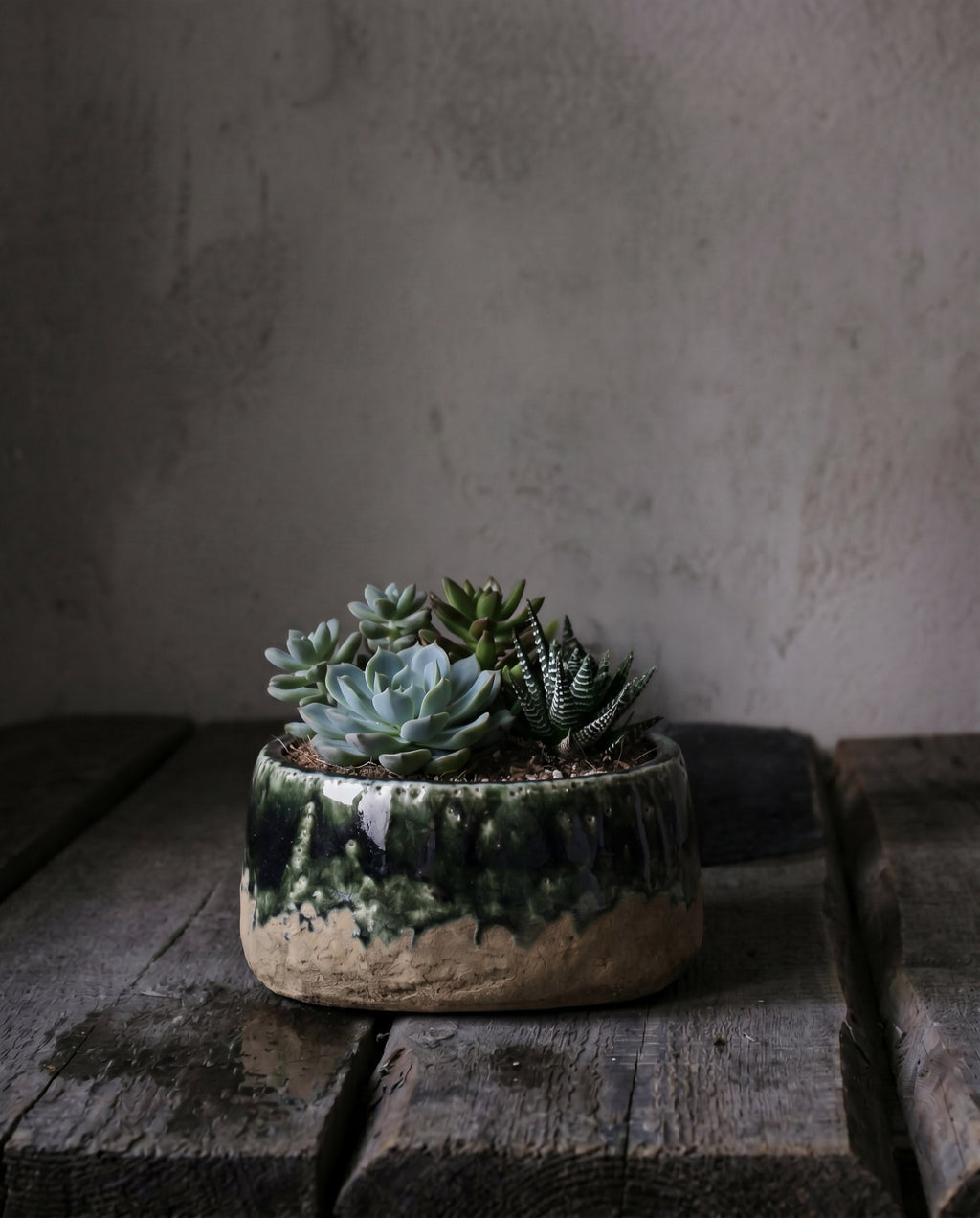 Bazar Bizar Aardewerken Plantenpot Moss Bowl Betongroen Ø16 x H8 cm