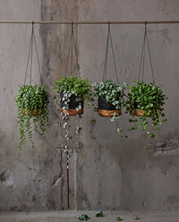 Bazar Bizar Bananenblad Plantenhanger Banana Naturel/Zwart Ø11 x H10 cm