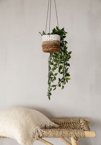 Bazar Bizar Bananenblad Plantenhanger Banana Naturel/Wit Ø11 x H10 cm