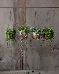 Bazar Bizar Bananenblad Plantenhanger Banana Naturel/Wit Ø11 x H10 cm