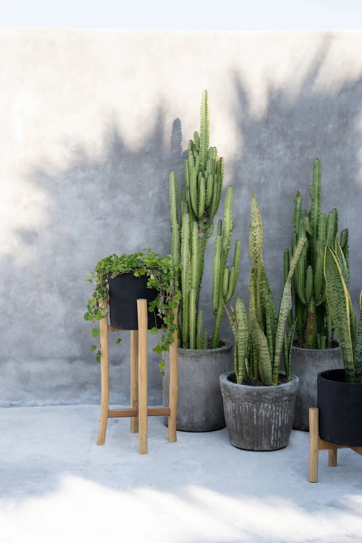 Bazar Bizar Terracotta Plantenpot Charcoal Zwart/Naturel Ø30 x H68 cm