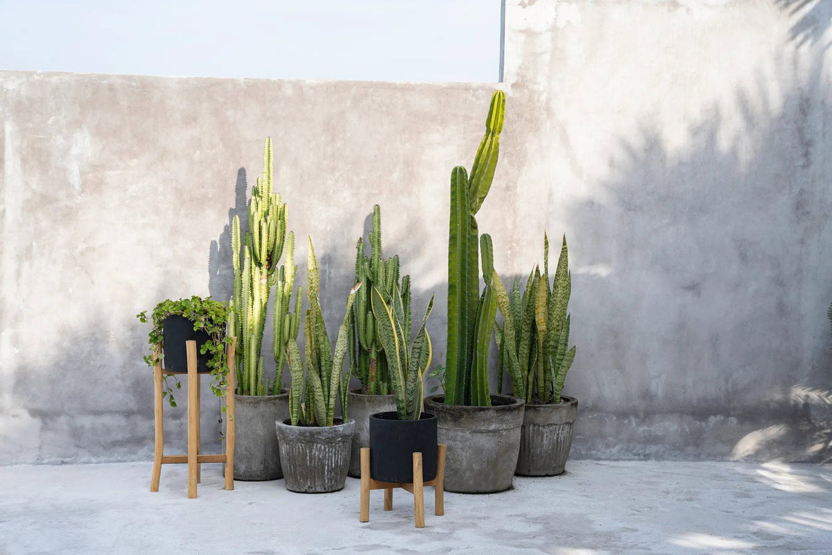 Bazar Bizar Terracotta Plantenpot Charcoal Zwart/Naturel Ø30 x H68 cm