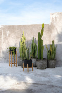 Bazar Bizar Terracotta Plantenpot Charcoal Zwart/Naturel Ø28 x H36 cm