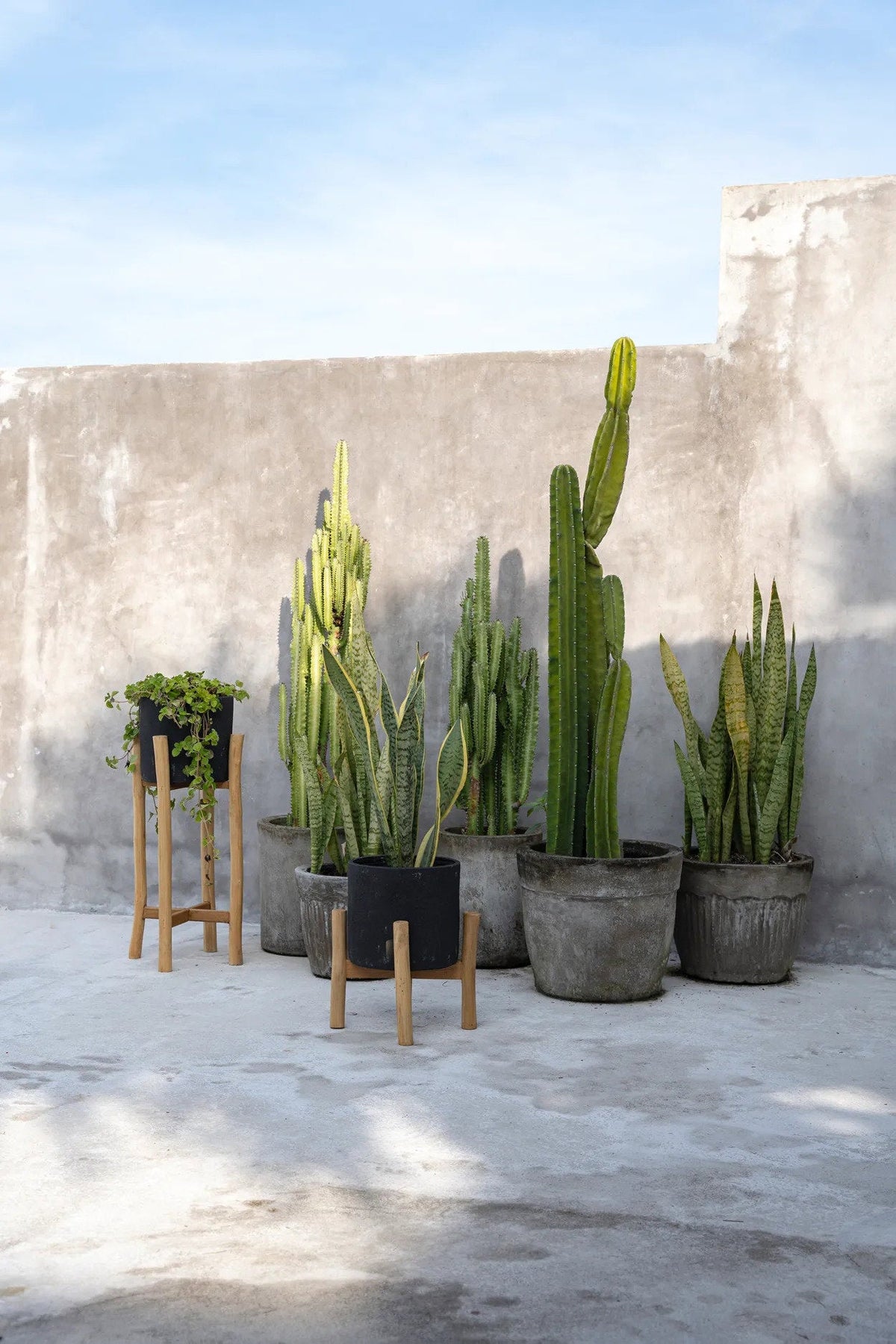 Bazar Bizar Terracotta Plantenpot Charcoal Zwart/Naturel Ø28 x H36 cm