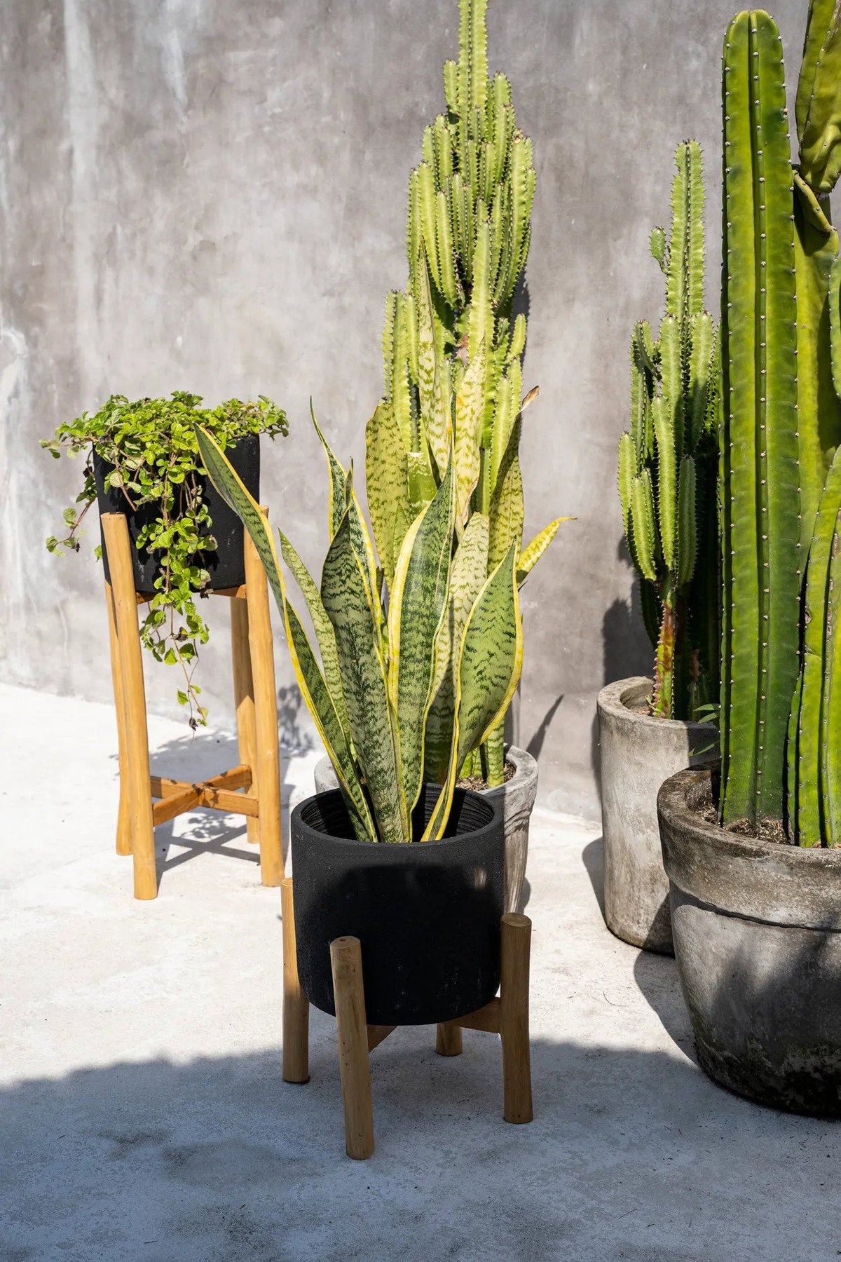 Bazar Bizar Terracotta Plantenpot Charcoal Zwart/Naturel Ø28 x H36 cm