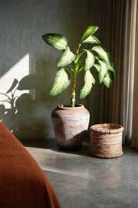 Bazar Bizar Waterhyacint Mand Chuka Naturel Ø38 x H34 cm